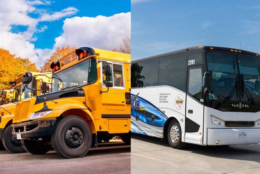 Charter Bus vs. School Bus for Field Trips: When to Use Each Row of yellow school buses in a parking lot on a sunny autumn day. Golden fall trees in the background. Back to school concept.